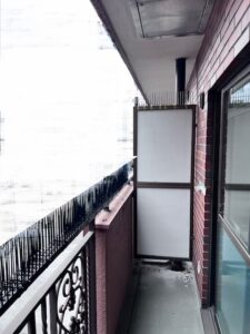 トゲトゲ（鳩よけ）